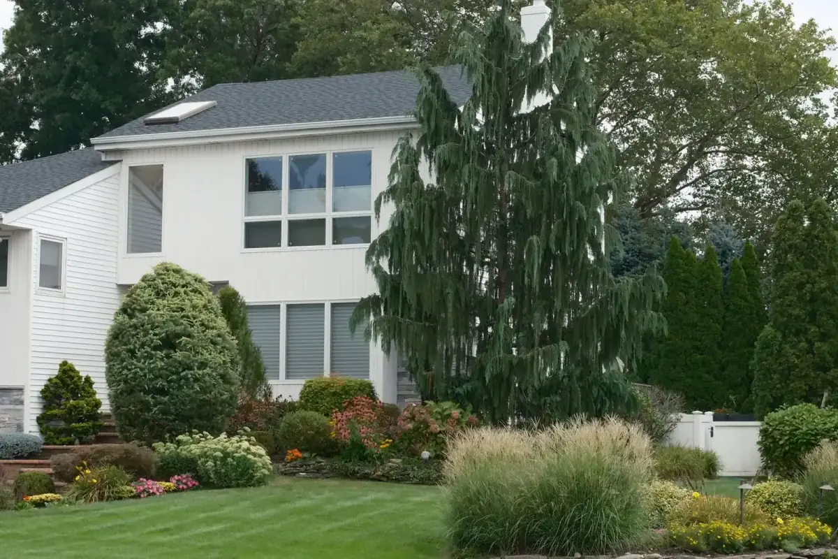 Suburban home with a landscaped yard